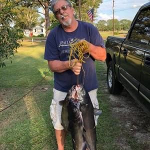 Meet your Posher, Bruce